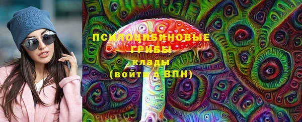 бошки Балахна