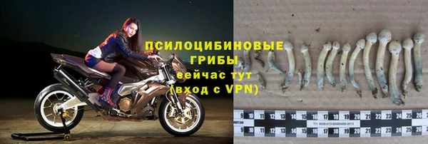 бошки Балахна
