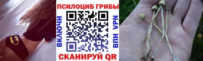 Псилоцибиновые грибы Cubensis  наркота  Краснокаменск 