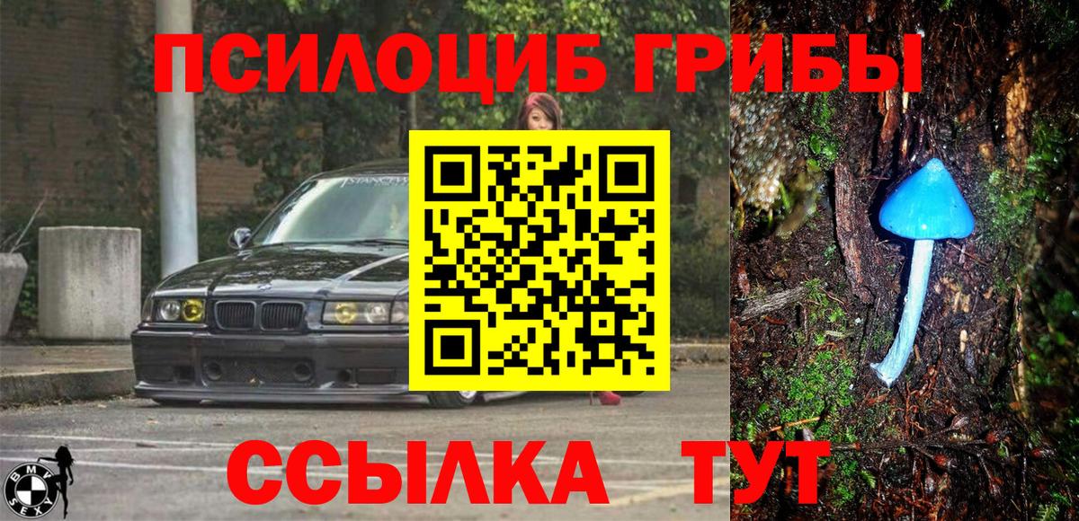 купить  сайты  Вход с VPN  Краснокаменск  Галлюциногенные грибы ЛСД 